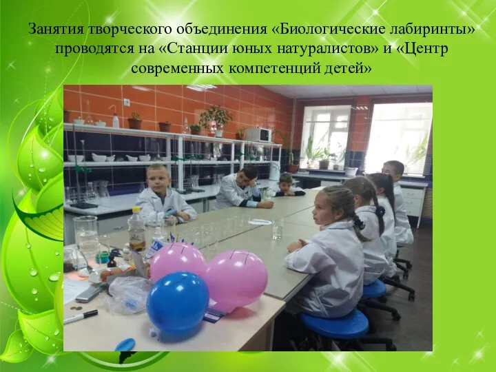 Занятия творческого объединения «Биологические лабиринты» проводятся на «Станции юных натуралистов» и «Центр современных компетенций детей»