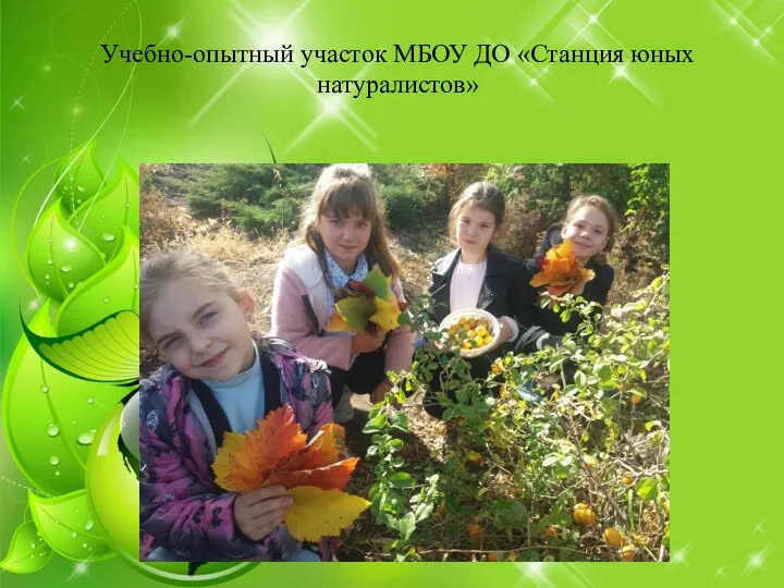 Учебно-опытный участок МБОУ ДО «Станция юных натуралистов»