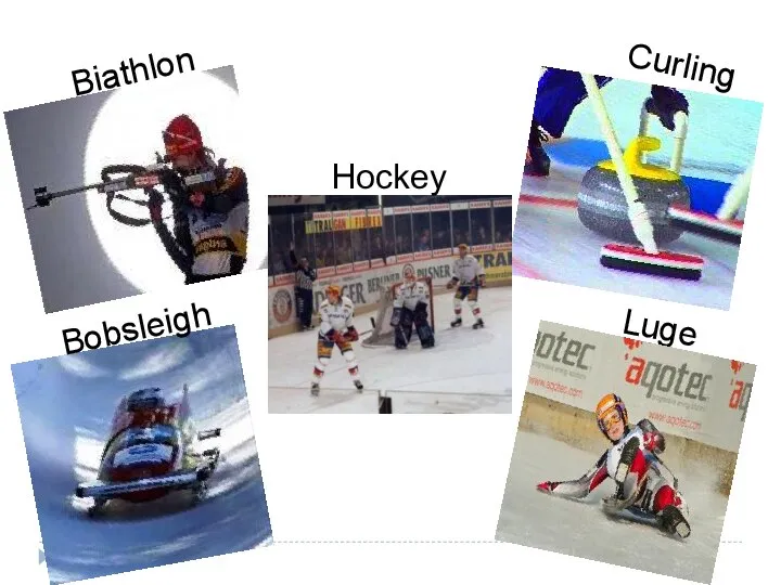 Biathlon Bobsleigh Curling Luge Hockey