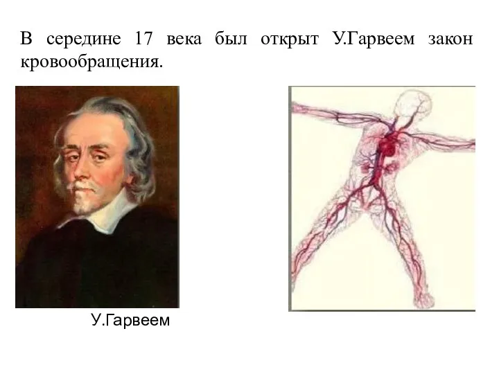 В середине 17 века был открыт У.Гарвеем закон кровообращения. У.Гарвеем