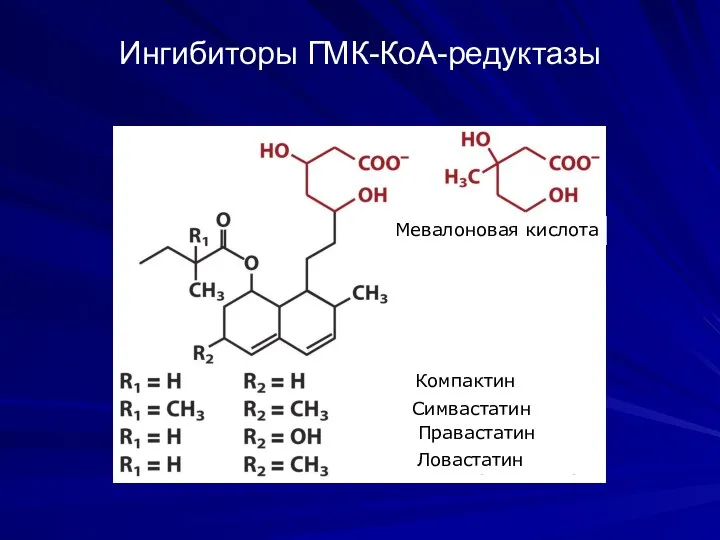 Ингибиторы ГМК-КоА-редуктазы Мевалоновая кислота Компактин Симвастатин Правастатин Ловастатин