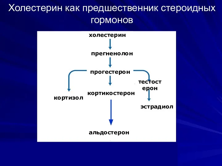 Холестерин как предшественник стероидных гормонов кортикостерон холестерин прегненолон прогестерон альдостерон кортизол тестостерон эстрадиол