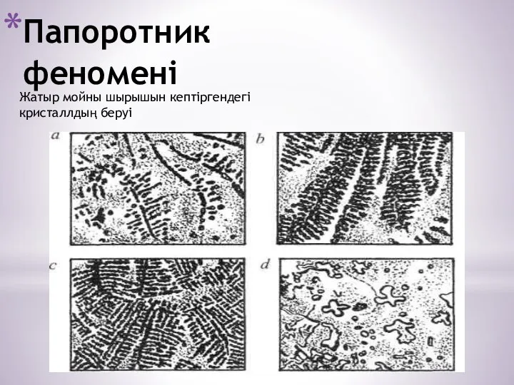 Папоротник феномені Жатыр мойны шырышын кептіргендегі кристаллдың беруі