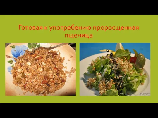 Готовая к употребению проросщенная пщеница