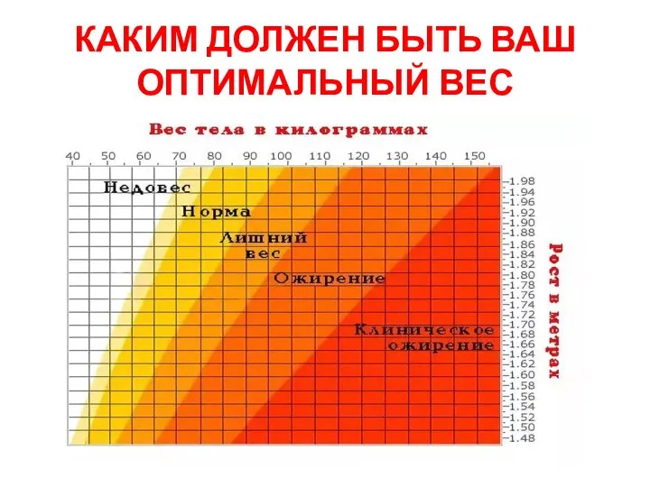 КАКИМ ДОЛЖЕН БЫТЬ ВАШ ОПТИМАЛЬНЫЙ ВЕС