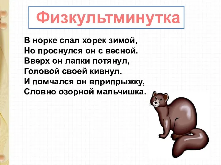 Физкультминутка В норке спал хорек зимой, Но проснулся он с весной.