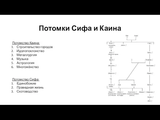 Потомки Сифа и Каина Потомство Каина: Строительство городов Идолопоклонство Металлургия Музыка