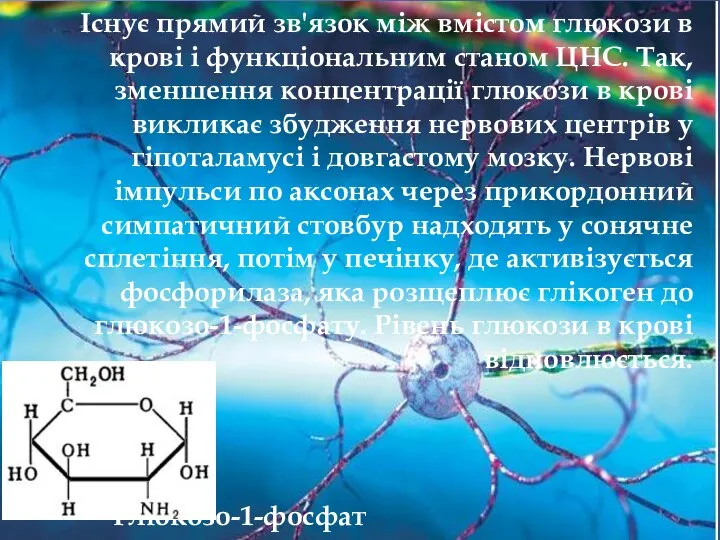 Існує прямий зв'язок між вмістом глюкози в крові і функціональним станом