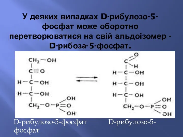 У деяких випадках D-рибулозо-5-фосфат може оборотно перетворюватися на свій альдоізомер - D-рибоза-5-фосфат. D-рибулозо-5-фосфат D-рибулозо-5-фосфат