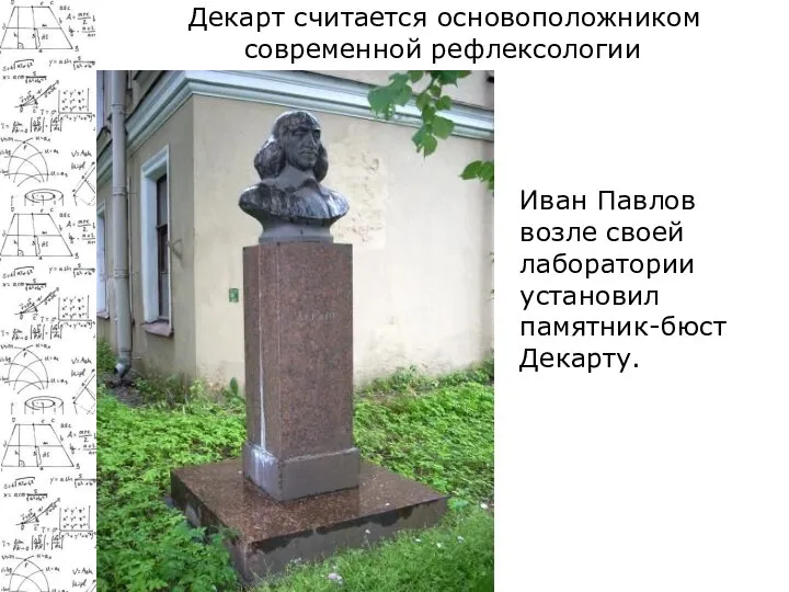 Декарт считается основоположником современной рефлексологии Иван Павлов возле своей лаборатории установил памятник-бюст Декарту.