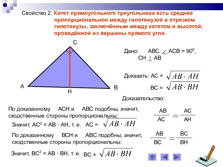 Свойство 2. Катет прямоугольного треугольника есть среднее пропорциональное между гипотенузой и