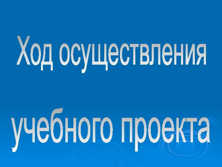 Ход осуществления учебного проекта