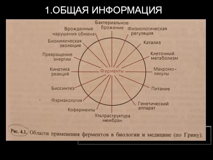 1.ОБЩАЯ ИНФОРМАЦИЯ