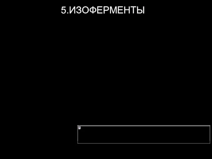 5.ИЗОФЕРМЕНТЫ Изоферменты — множественные формы фермента, катализирующие одну и ту же