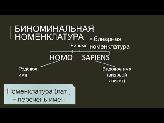 БИНОМИНАЛЬНАЯ НОМЕНКЛАТУРА HOMO SAPIENS = бинарная номенклатура Биномен Родовое имя Видовое