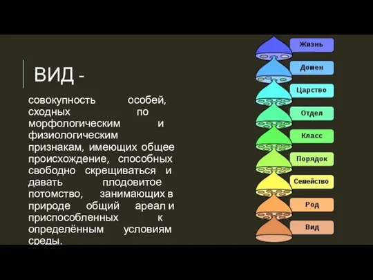 ВИД - совокупность особей, сходных по морфологическим и физиологическим признакам, имеющих