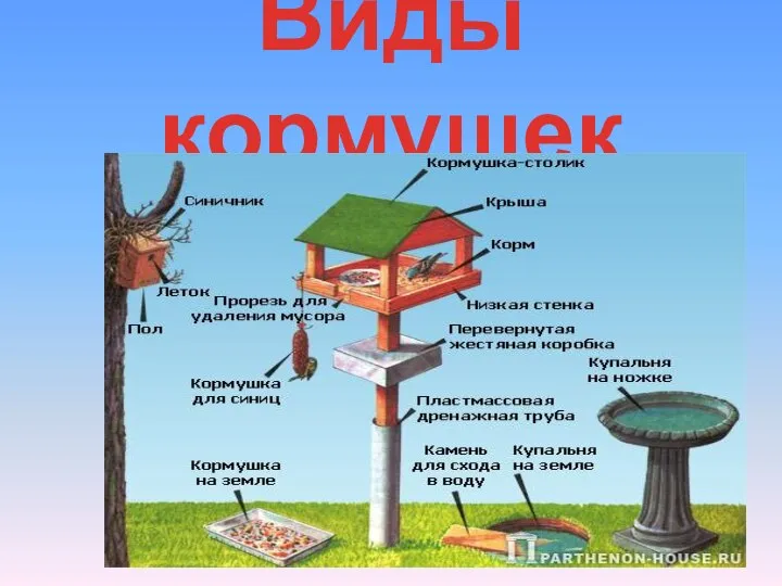 Виды кормушек