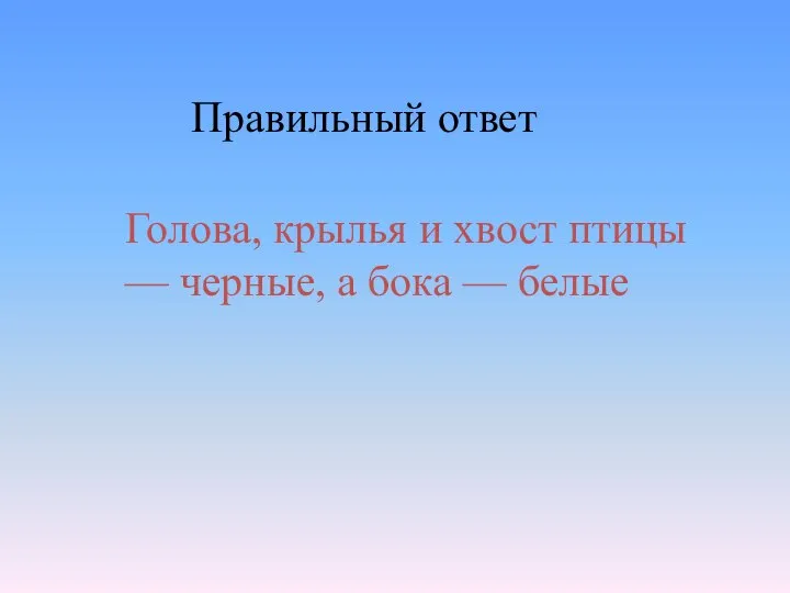 Голова, крылья и хвост птицы — черные, а бока — белые Правильный ответ