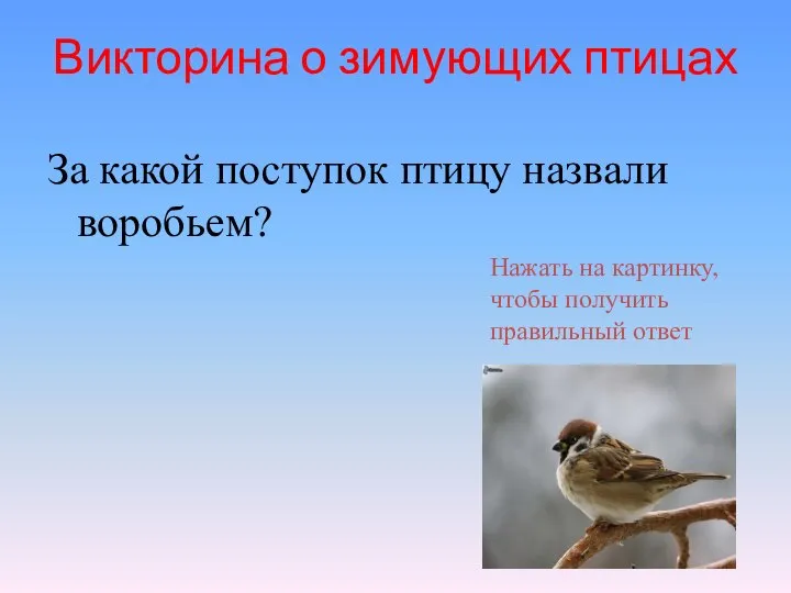 Викторина о зимующих птицах За какой поступок птицу назвали воробьем? Нажать