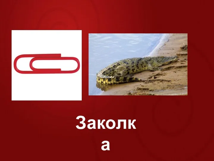 Заколка