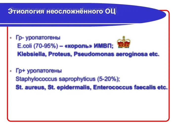 Этиология неосложнённого ОЦ Гр- уропатогены E.coli (70-95%) – «король» ИМВП; Klebsiella,