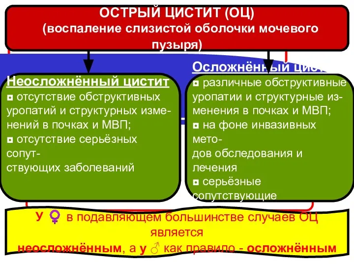 Неосложнённый цистит ◘ отсутствие обструктивных уропатий и структурных изме- нений в