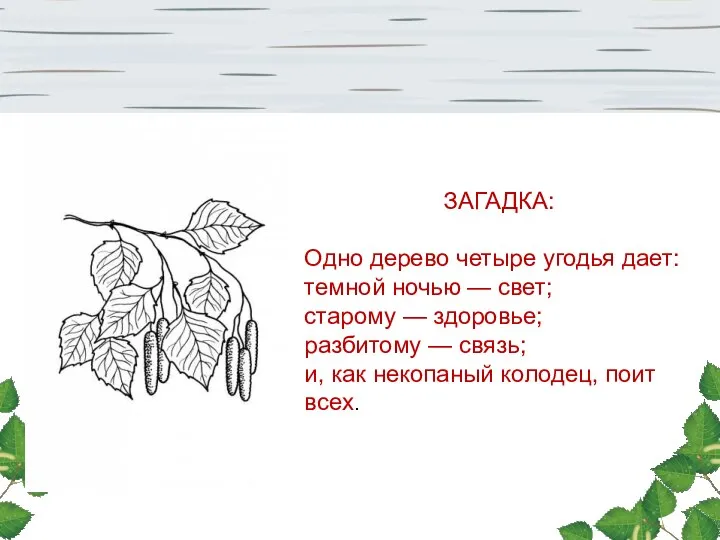 ЗАГАДКА: Одно дерево четыре угодья дает: темной ночью — свет; старому