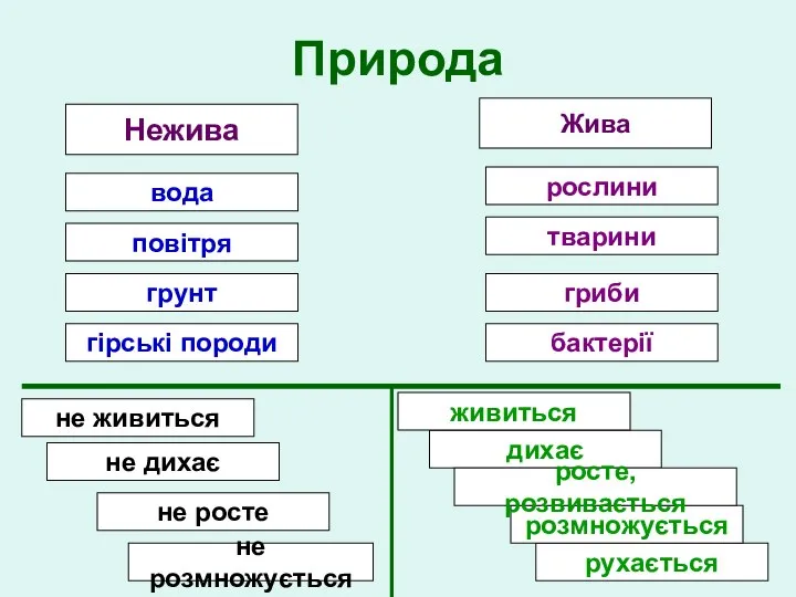 Природа Нежива Жива вода повітря гірські породи бактерії гриби тварини рослини