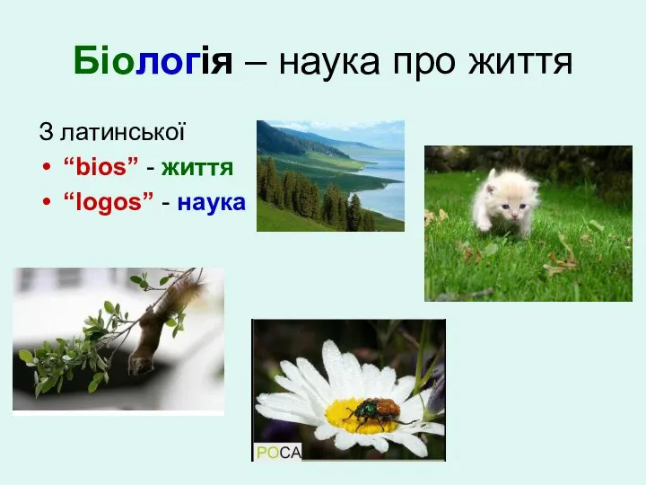 Біологія – наука про життя З латинської “bios” - життя “logos” - наука