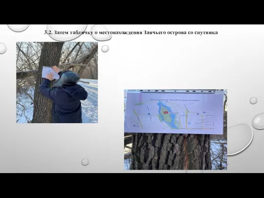3.2. Затем табличку о местонахождения Заячьего острова со спутника