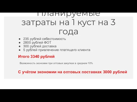 Планируемые затраты на 1 куст на 3 года 235 рублей себестоимость