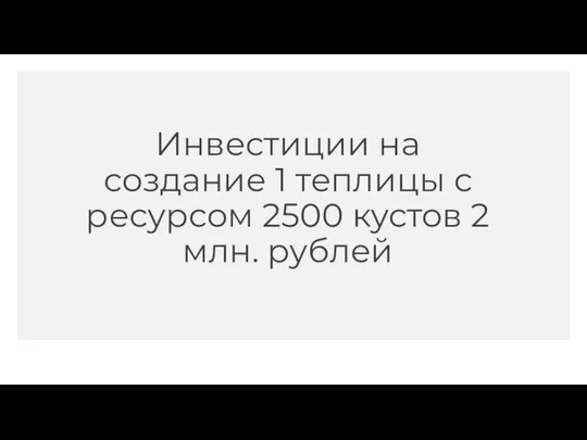 Инвестиции на создание 1 теплицы с ресурсом 2500 кустов 2 млн. рублей