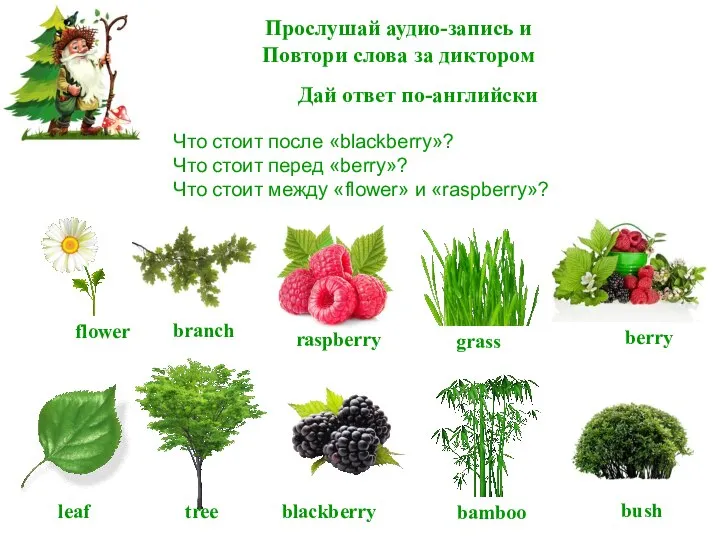 Прослушай аудио-запись и Повтори слова за диктором tree blackberry raspberry bush