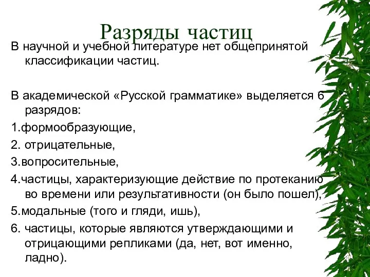 Разряды частиц В научной и учебной литературе нет общепринятой классификации частиц.