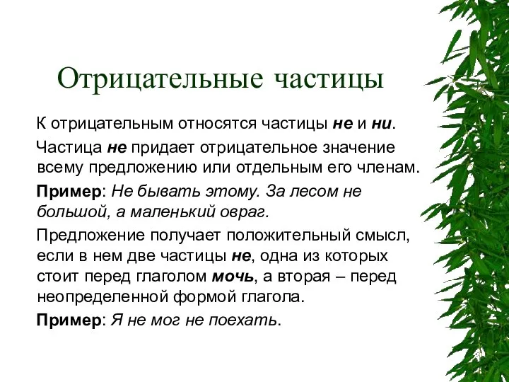 Отрицательные частицы К отрицательным относятся частицы не и ни. Частица не