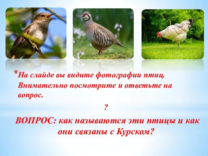 На слайде вы видите фотографии птиц. Внимательно посмотрите и ответьте на