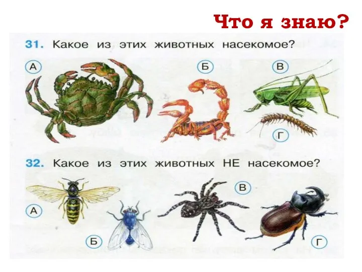 Что я знаю?