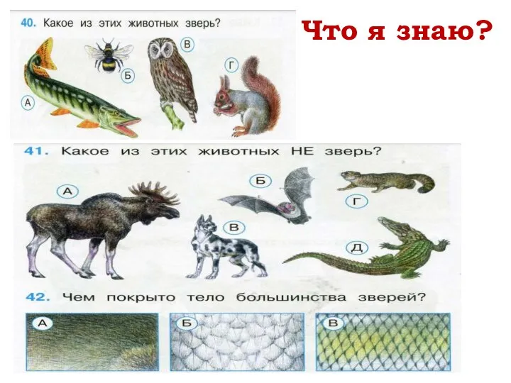 Что я знаю?