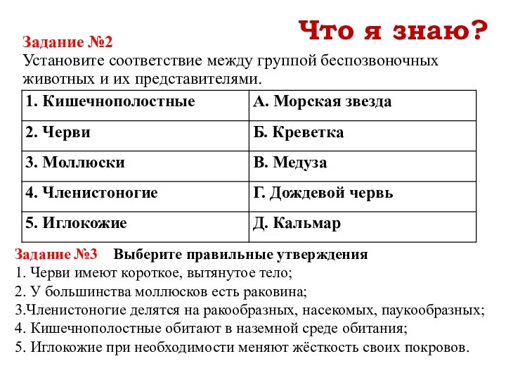 Задание №2 Установите соответствие между группой беспозвоночных животных и их представителями.