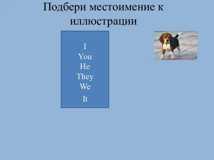 I You He They We Подбери местоимение к иллюстрации It