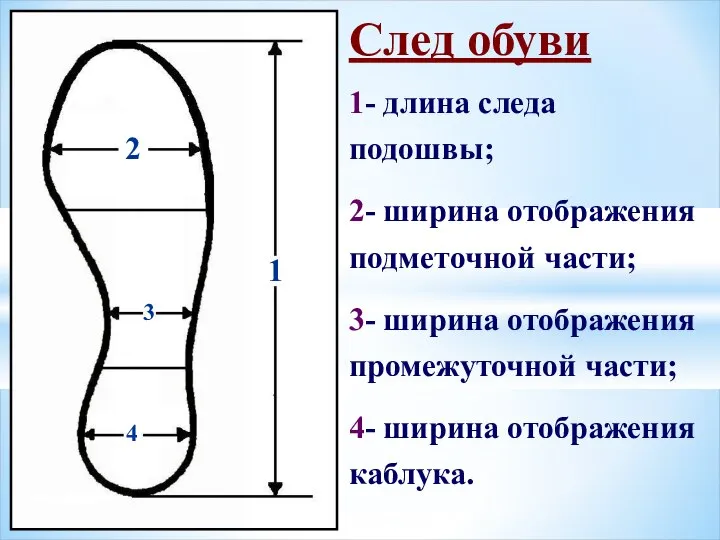 1 2 3 4 След обуви 1- длина следа подошвы; 2-