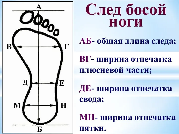 А Б В Г Д Е М Н След босой ноги