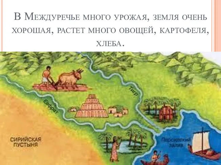 В Междуречье много урожая, земля очень хорошая, растет много овощей, картофеля, хлеба.