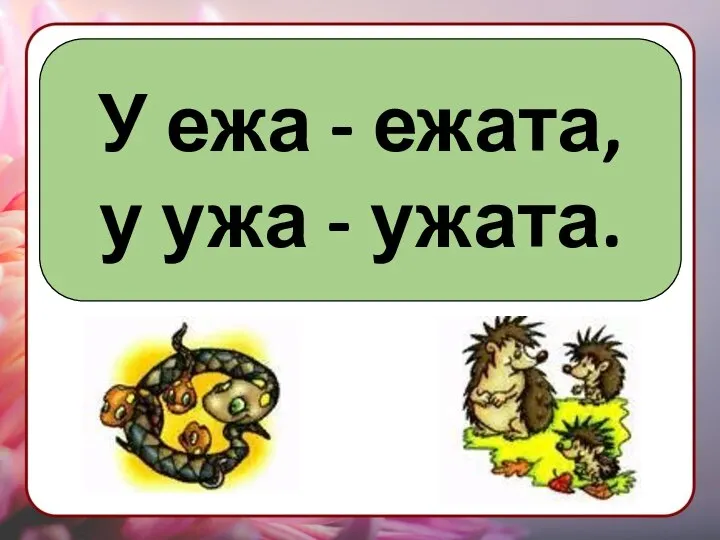 У ежа - ежата, у ужа - ужата.