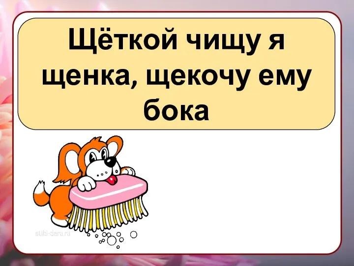 Щёткой чищу я щенка, щекочу ему бока