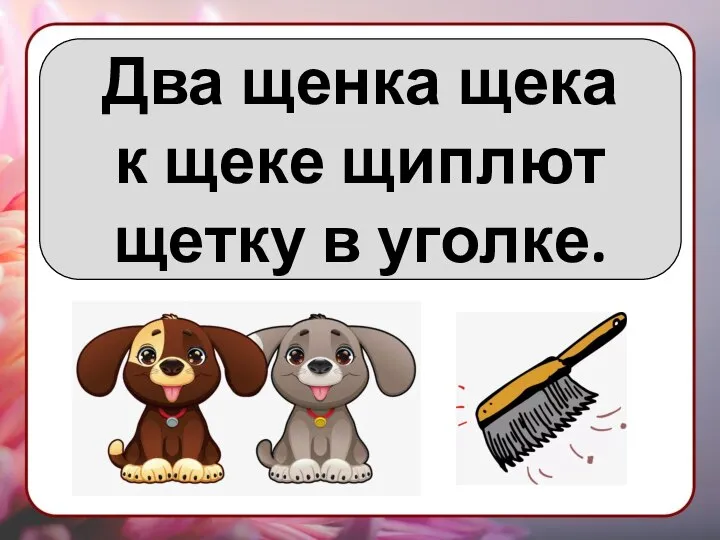 Два щенка щека к щеке щиплют щетку в уголке.