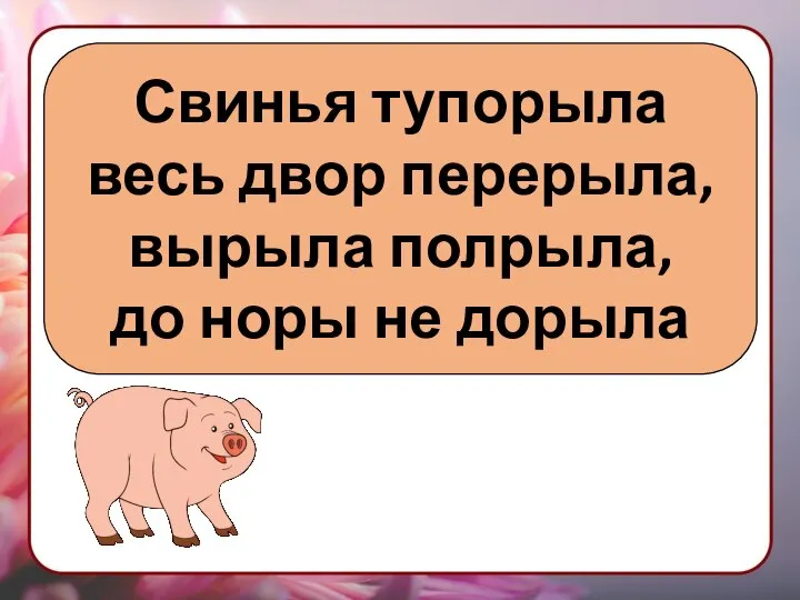 Свинья тупорыла весь двор перерыла, вырыла полрыла, до норы не дорыла