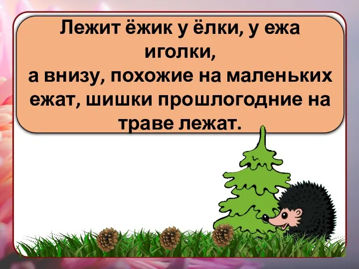 Лежит ёжик у ёлки, у ежа иголки, а внизу, похожие на