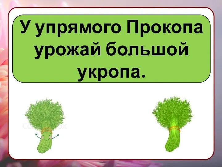 У упрямого Прокопа урожай большой укропа.