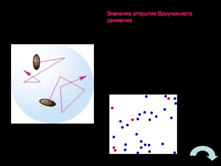 Значение открытия броуновского движения . Броуновское движение показало ,что все тела